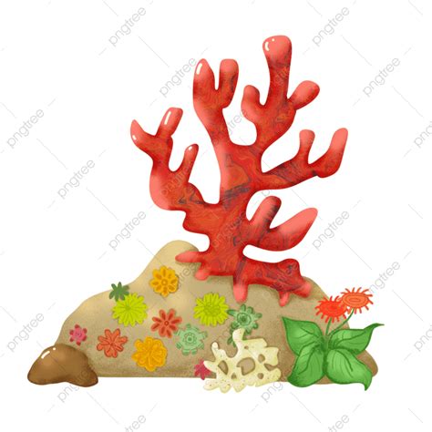 Red Coral Hd Transparent Red Coral Coral Marine Plants Seabed Png