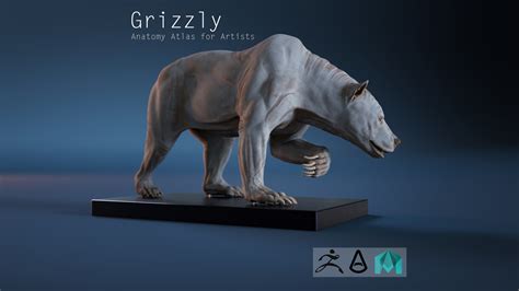 Artstation Digital Grizzly Bear Skin For Artist Resources