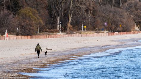 Human Femur Other Remains Found On Milwaukees Bradford Beach