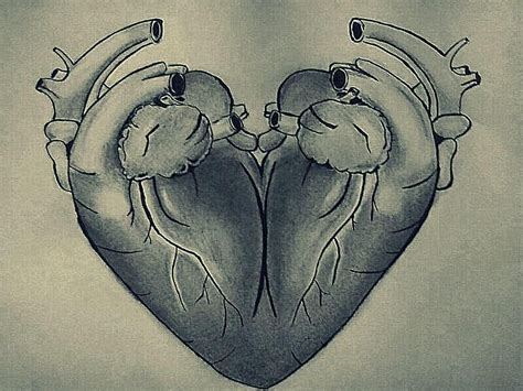 Watch the video for two hearts together from takara's eternal faith for free, and see the artwork, lyrics and similar artists. Two Human Hearts Make One Stereotypical Heart ...