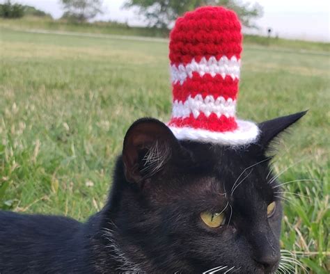 Hat On A Cat With Pictures Instructables