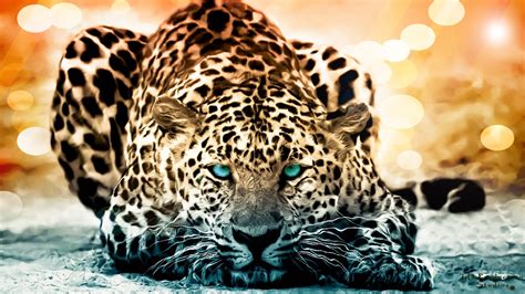 Wallpaper Animals Artwork Big Cats Whiskers Leopard Jaguar