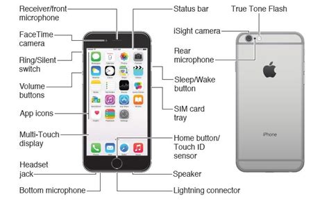 Iphone 7 / 7plus schematic diagrams with pcb layout for repair guide, you can find easily the all components by this schematic diagrams, and the searching function is useable on the board view. IPhone 6 Diagram Schematic | Iphone 6, Multi touch