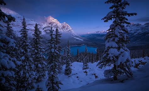 Desktop Wallpapers Banff Canada Peyto Lake Winter Spruce Nature