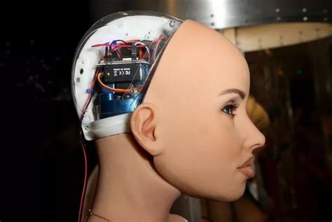 Sex Robot Says Machines Will ‘take Over The World After Her Ai Is ‘turned Up Daily Star