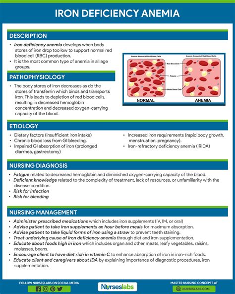 Anemia Pathophysiology
