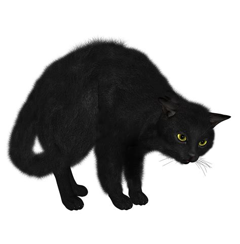 Black Cat Png Image Transparent Image Download Size 1490x1520px