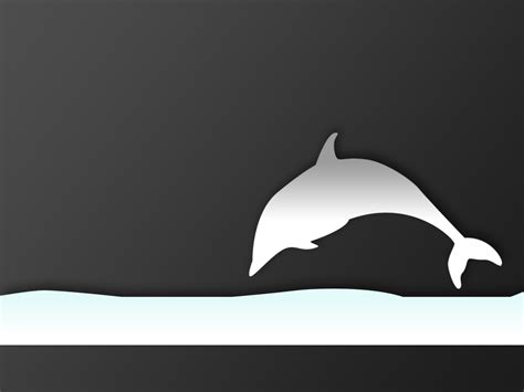 ~♥ Dolphins ♥ ~ Dolphins Wallpaper 10345817 Fanpop