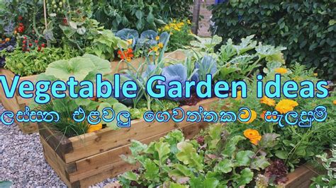 Beautiful Home Vegetable Gardening Ideas Youtube