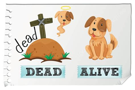 Opposite Adjectives Dead And Alive Graphic Flashcard Dirt Vector