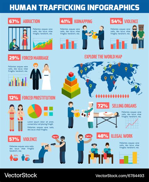 human trafficking report infographic layout chart vector image