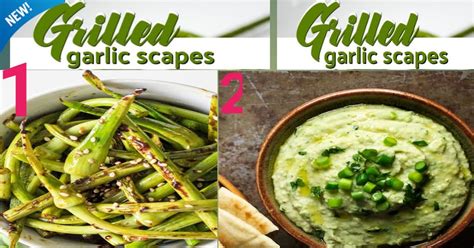 Latest Yummy Garlic Scapes Recipe How Cook Garlic Stem Recipe Just
