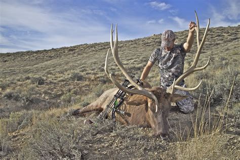 The Texas Bow Hunting Guide Get Ready For An Exciting Adventure