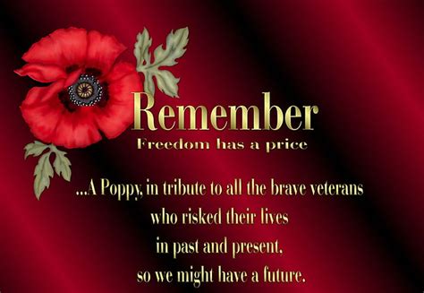 In Honor Of Our Veterans On Veterans Day Poppy Veterans Vets Poem