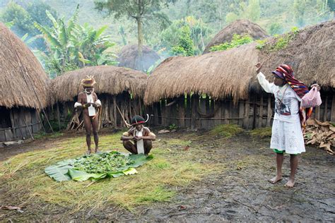 What Role Do Indigenous People And Forests Have In A Sustainable Future