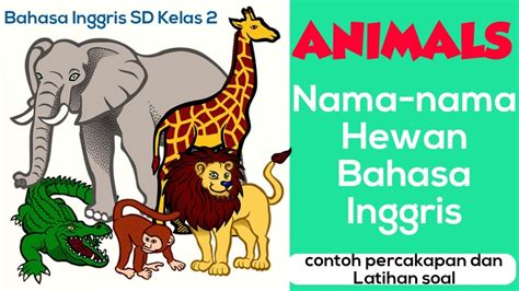 Belajar Nama Hewan Bahasa Inggris Dan Gambar Animals In English Youtube
