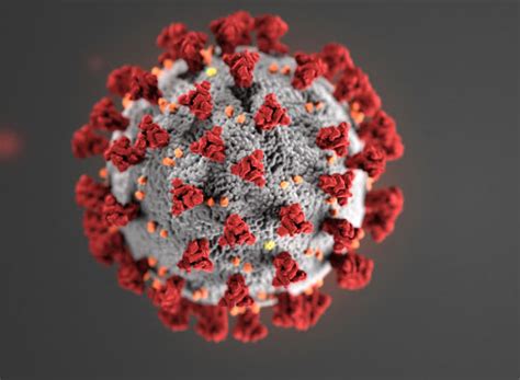 The latest coronavirus news and headlines from yahoo! Get the latest information from the CDC about COVID-19 - Infectious Diseases | John T. Milliken ...