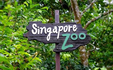 Book Singapore Zoo Tickets 2022 Best Price Guarantee Headout