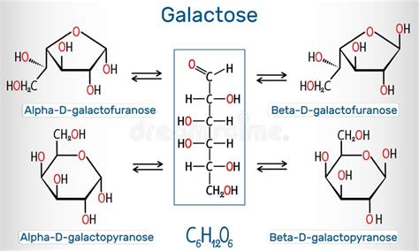 Galactose Alpha D Galactopyranose Bêta D Galactopyranose Molécule De