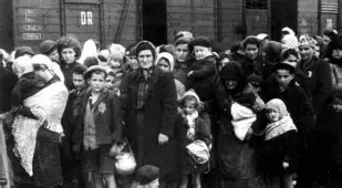 Holocaust Photos Heartrending Images Of Tragedy And Perseverance