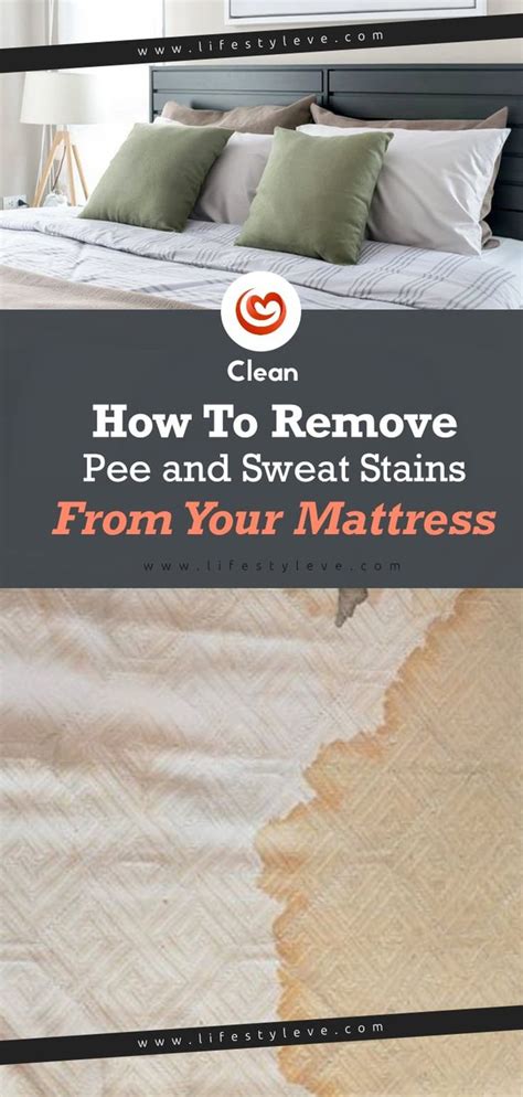 Wet all stains generously with the mildew and let it work for some time. How To Remove Pee and Sweat Stains From Your Mattress# ...