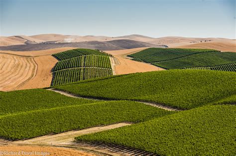 Walla Walla Valley Known For Great Vineyards Winemaking