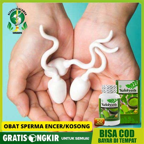 Jual Obat Mani Encer Sperma Kosong Kesuburan Pria Mandul Herbal Keloreena Kapsul Ekstrak Daun