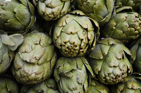 How To Grow Artichoke From Seeds