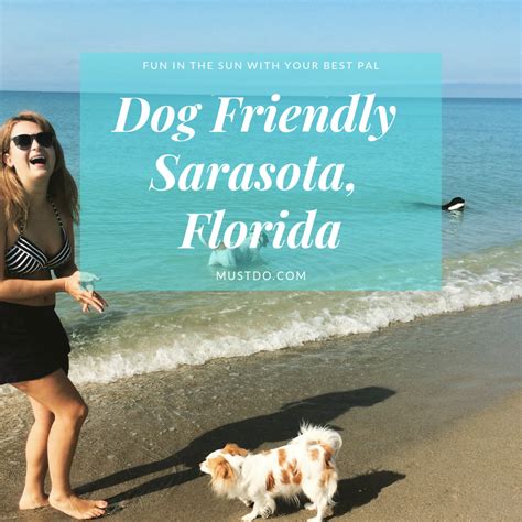 Dog Friendly Places In Sarasota Florida Must Do Visitor Guides