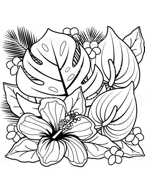 flower coloring pages hd    collection  beautiful flower coloring page