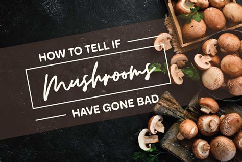 7 Signs That Your Mushrooms Have Gone Bad Nublume