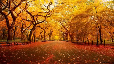 Autumn Colors A Pondering Mind