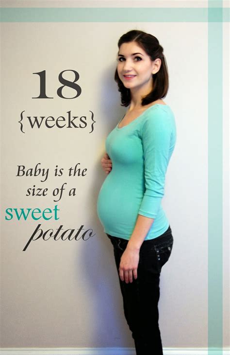 Pics 18 Weeks Pregnant Cbeab