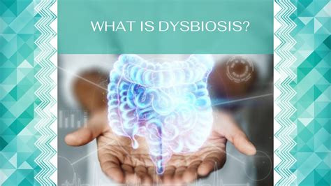 What Is Dysbiosis Youtube