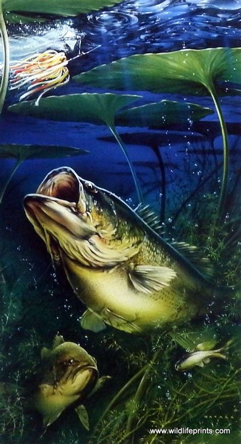 Artist Dan Hatala Unframed Fishing Print Great Lakes Largemouth Bass