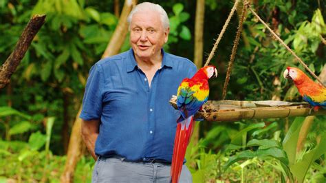 Life In Color With David Attenborough Netflix Official Site