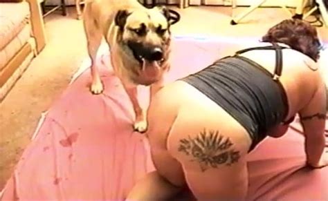 Dog Fuck And Creampie