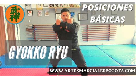 Posiciones BÁsicas Gyokko Ryu Bujinkan Ninjutsu Youtube