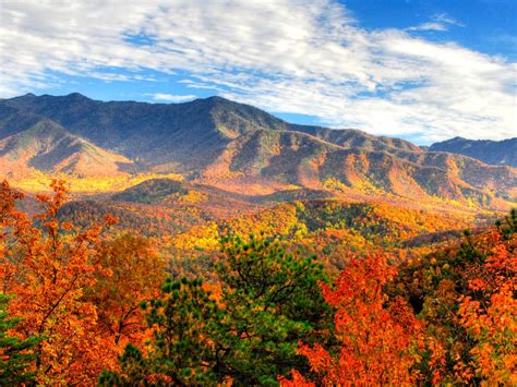 Fall Foliage Smoky Mountains  Rend Tccom 1280 960 Kwantypl