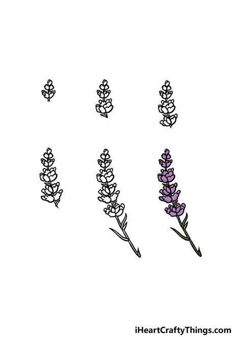 70 Hình Vẽ Hoa Lavender đẹp Nhất Trường Tiểu Học Tiên Phương Chương