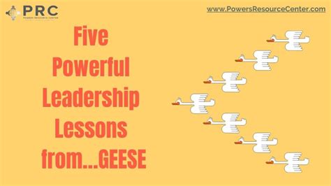 Five Powerful Leadership Lessons Fromgeese Powers Resource Center