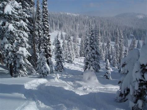 Our list of the the top 10 christmas activities will help you make memories. Steamboat Springs CO | Steamboat springs colorado winter, Steamboat springs colorado, Steamboat ...