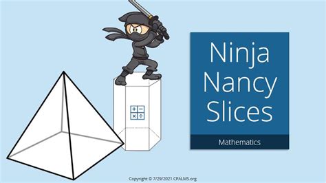 Ninja Nancy Slices