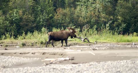 Beaver River: Explore Secret Waterways by Ruby Range Adventure (Code