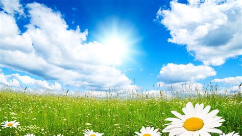 Use wallpapers on your phone, desktop background, website and more. Popular Screensavers and Wallpaper (47+ images)