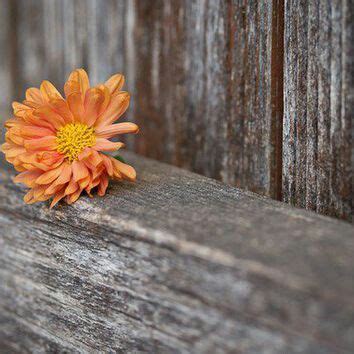 Rustic phone digital decor wallpaper, widget design, aesthetic lock screen. Rustic flower wallpaper | Rustic wallpaper, Fine art photo ...
