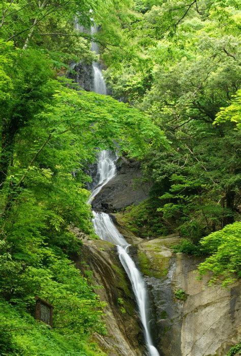 番外編 日本の滝百選 猿尾滝 20140619 M2の山と写真