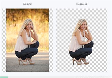 About the depositphotos background removal tool. Best Auto Background Remover That You Should Have
