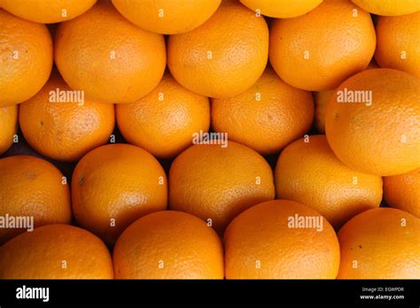 Orange Citrus Sinensis Stock Photo Alamy