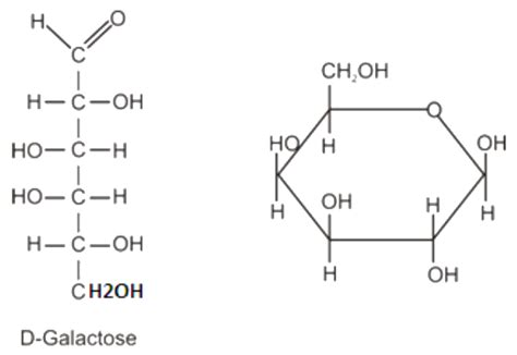 6 Structure Of Galactose